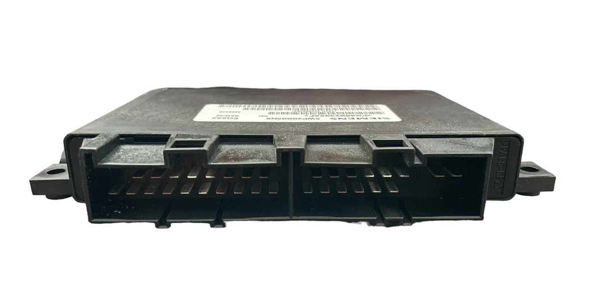ドミネーター ThunderMax : PN: #309-362 - Electronic Fuel Injection (EFI