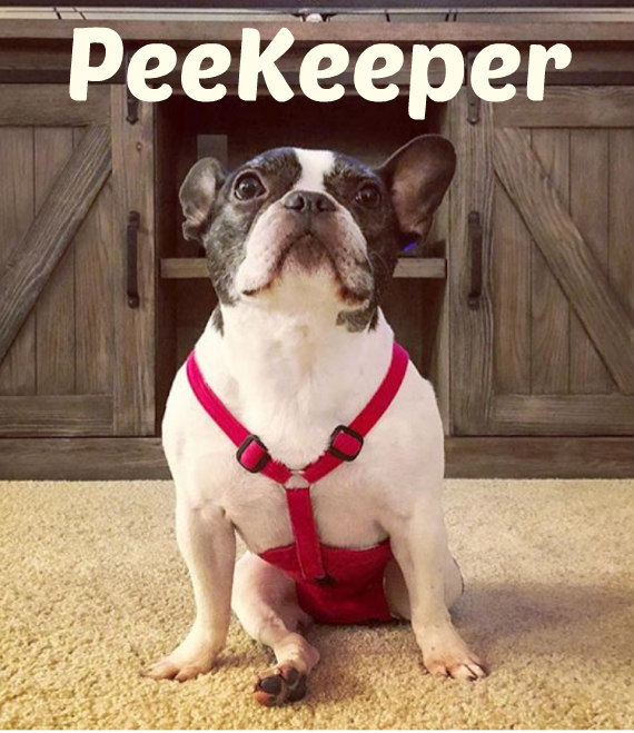 PeeKeeper Escape Proof Dog Diapers for Male and Female, Stay On Dog