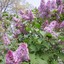 cape_cod_treasures