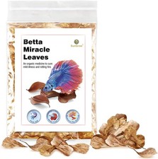SunGrow 50 pcs Catappa Indian Almond Leaves for Betta Fish Tank Brown