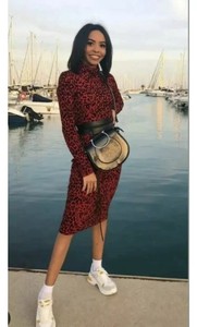 zara red leopard print dress