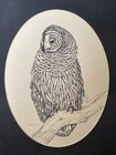Vtg Steve Leonardi Wildlife Graphics Owl Etching Print Signed 269/1000 Framed