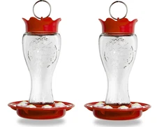 (Pack of 2) Pennington Glass Hummingbird Feeder, 16 Oz Nectar Capacity