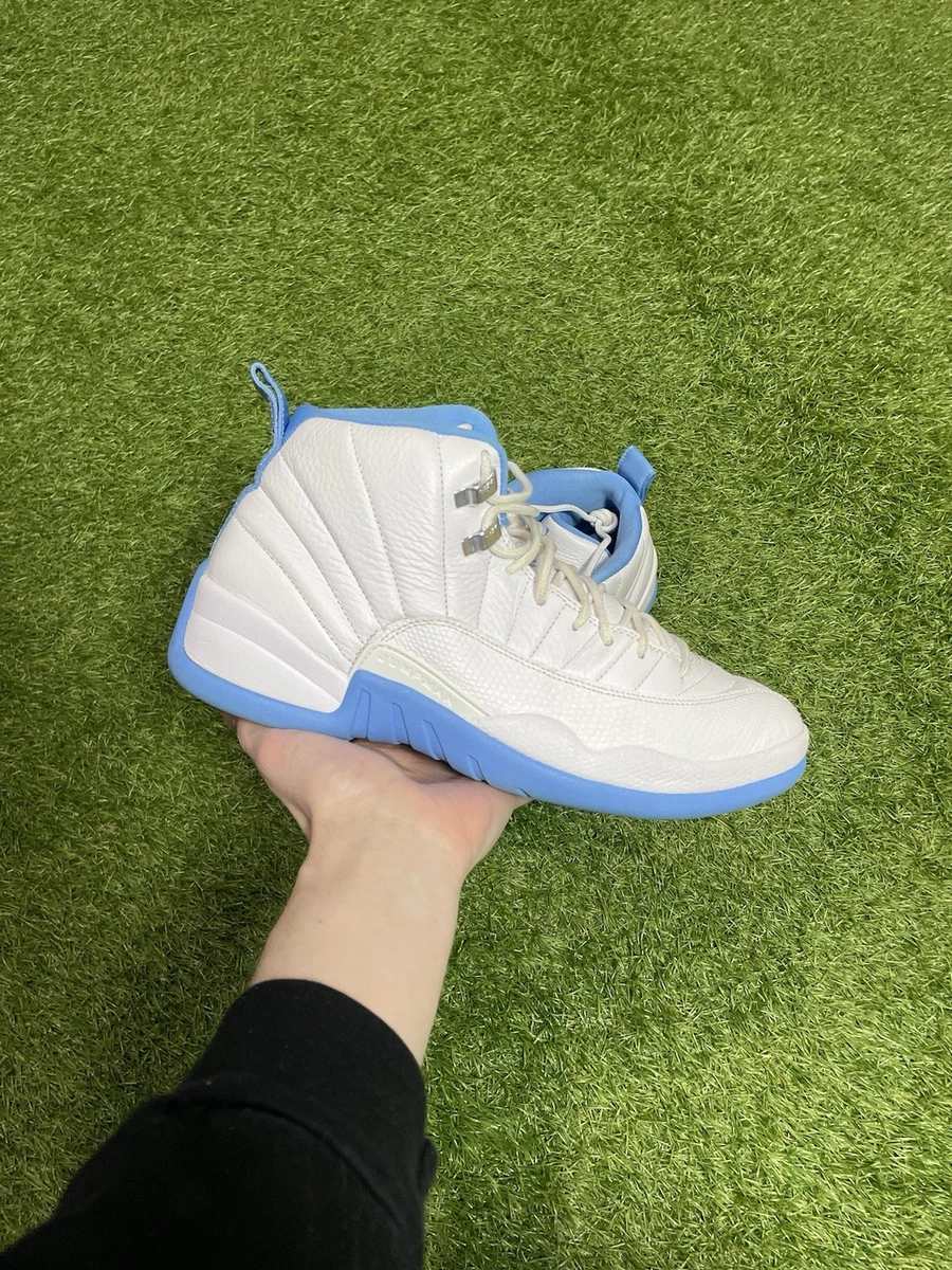 Jordan 12 Retro Melo for Sale | Authenticity Guaranteed | eBay