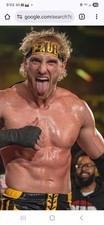 WRESTLING SUPERSTARS Logan Paul DVD Rey Roman Rollins Orton Cody Owens