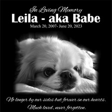 Pet Memorial Stone, Dog Memorial Personalized, Pet Grave Marker, Headstone 12x12