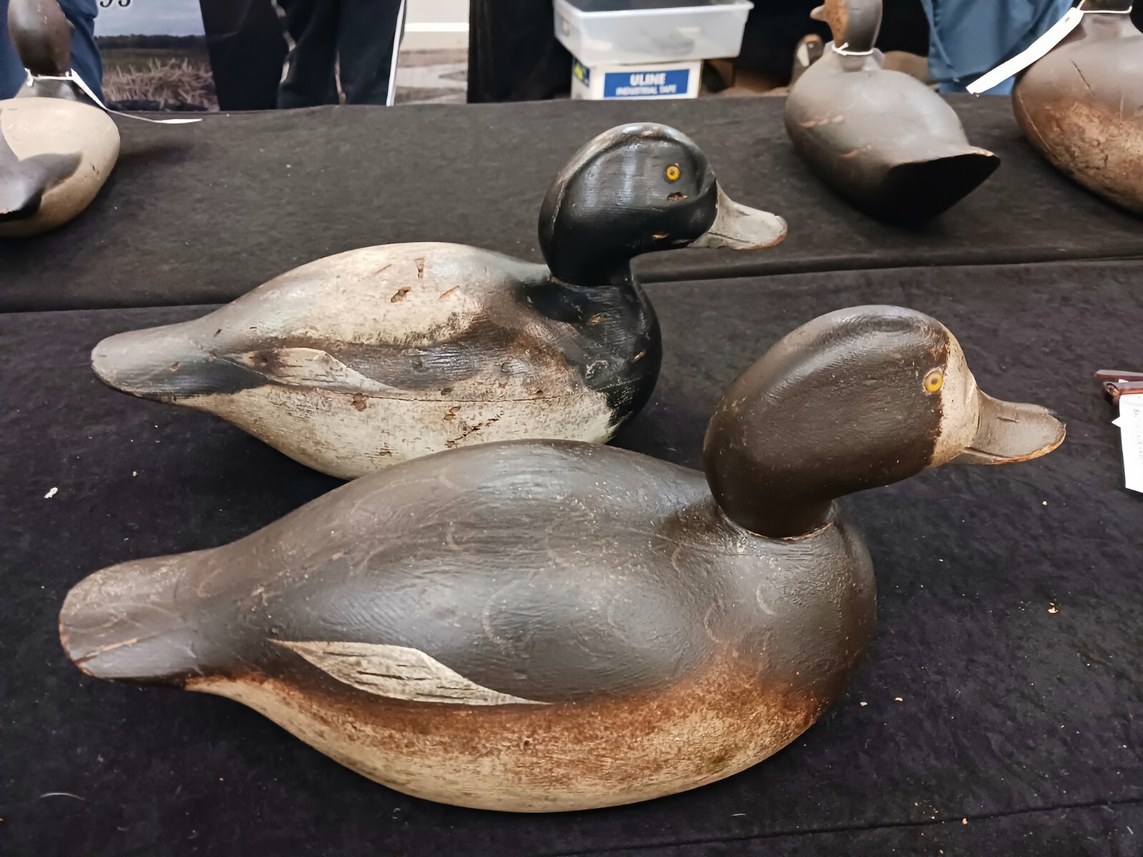 FINE PR MASON PREMIER GRADE BROADBILL DECOYS eBay