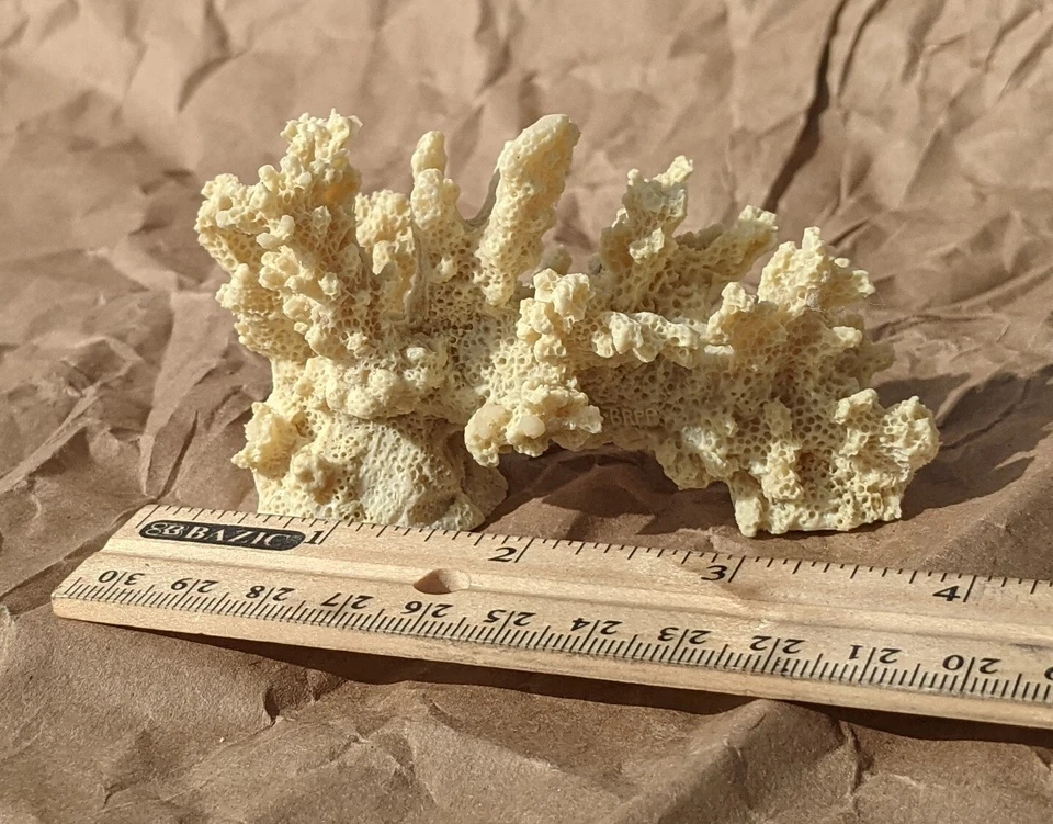 (2) Resina Coral Realista Nuevo Foto 2 de 4