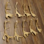 Foto 9 di 10