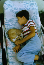 1960s Family Photo Boy Sleeping with Kitten Cat on Chase Lounge 35mm Slide