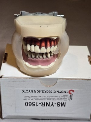 Columbia Dentoform MS-YNR-1560 Articulated Typodont Dental Laboratory Model