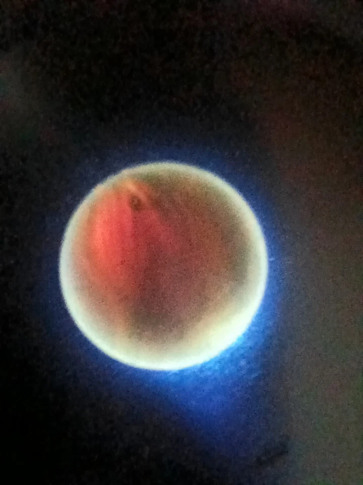 Vintage Old Marble Rare Christensen Agate Blue Azurite - Image 2 of 4