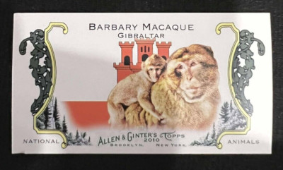BARBARY MACAQUE Gibraltar 2010 Topps Allen & Ginter National Animals Mini #NA14