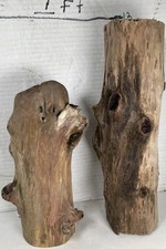 Driftwood 2 Pieces aquarium terrarium beach decor taxidermy Centerpiece