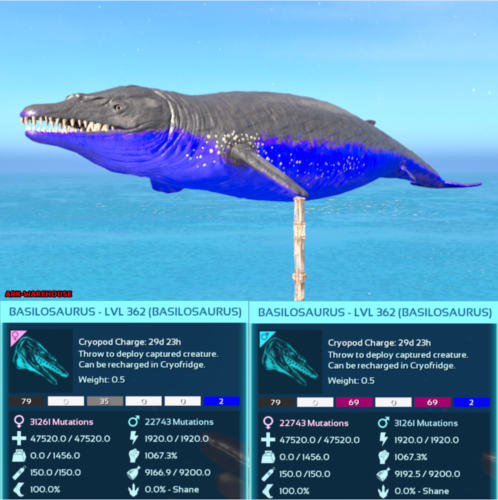 Top Stat Basilosaurus Mating Pair - Colour Options - Ark Ascended Crossplay PVE - Picture 4 of 13