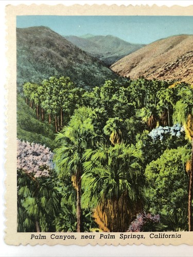 Litografía de la era del lino sin publicar Palm Canyon, cerca de Palm Springs California - Imagen 3 de 7