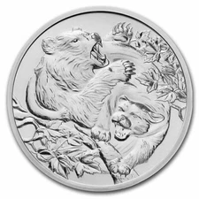 Niue 2022 COUGAR vs GRIZZLY BEAR Apex Predators $1 1 Troy Oz Pure Silver Capsule