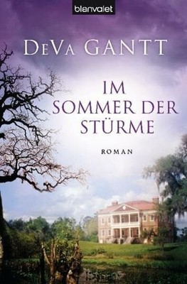 Im Sommer der Stürme: Roman Buch Blanvalet Taschenbuch Verlag