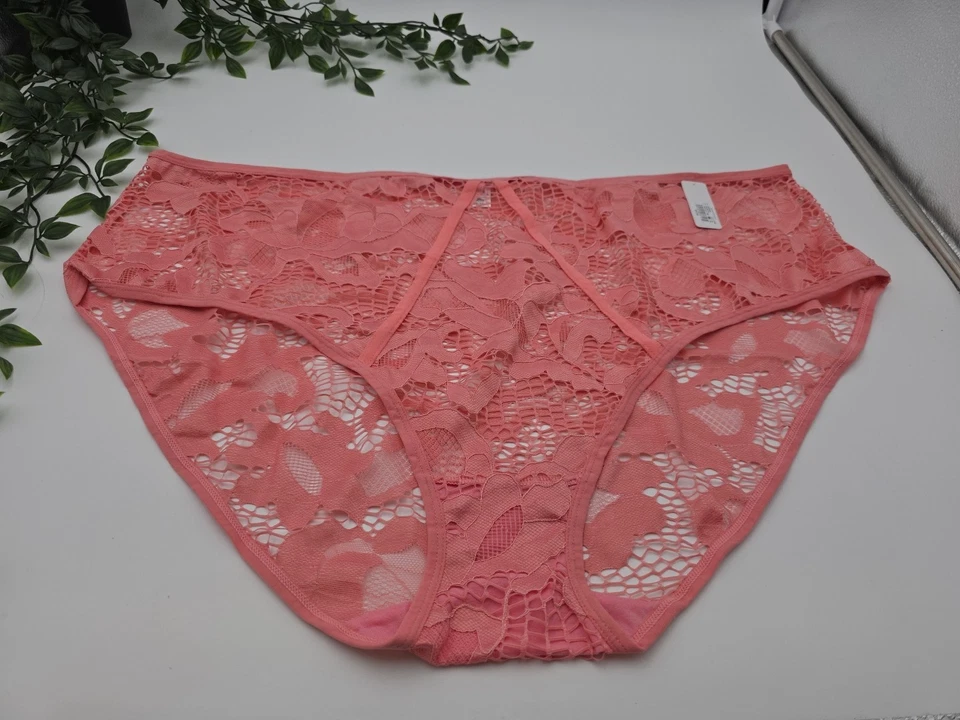 3pr NUEVO CON ETIQUETAS Ashley Stewart Plus Bragas Talla 34/36 6X Encaje Rosa Melocotón 016 Foto 4 de 4