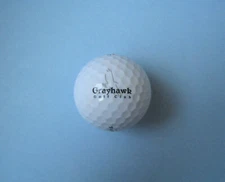 Logo Golf Balls from AZ, CA, FL, TX, & Other Golf Courses Pick Your Favorite
