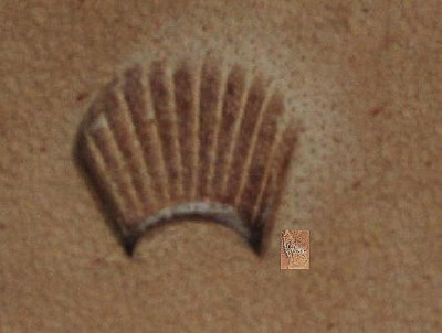 * Tandy Leather CRAFTOOL Stamping Tool - FIGURE CARVING - F917 or 6917-00