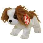 Ty Beanie Baby - Regal the King Charles Spaniel Dog (6 inch) - Mwmts Stuffed Toy