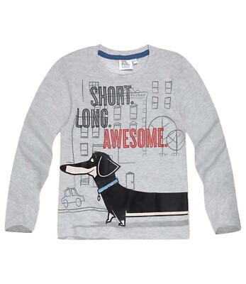 Secret Life of Pets Shirt Langarm grau Hund Buddy - Gr. 116 - Neuware 