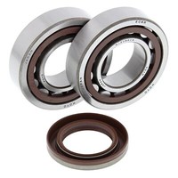 Lagersatz Kurbelwelle All Balls 24-1106 FüR KTM EXC Racing Racing SX SMR