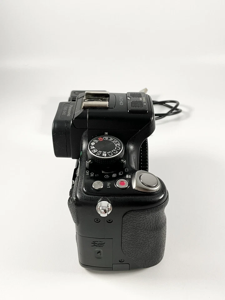 Panasonic Lumix GH2, photo 3 of 5