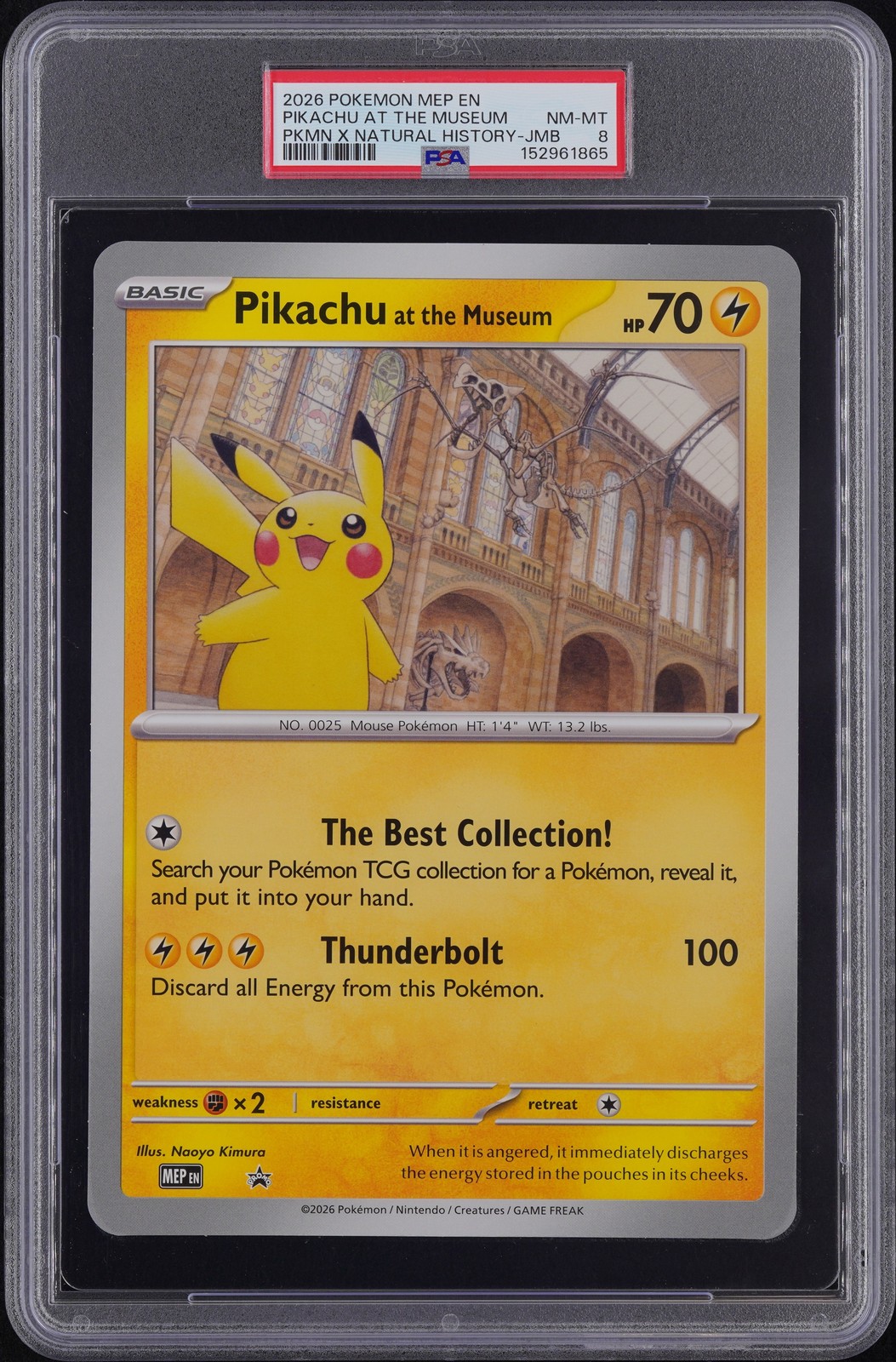PIKACHU AT THE MUSEUM PKMN X NATURAL HISTORY-JMB Pokemon Mep En-Me Black PSA 8.0