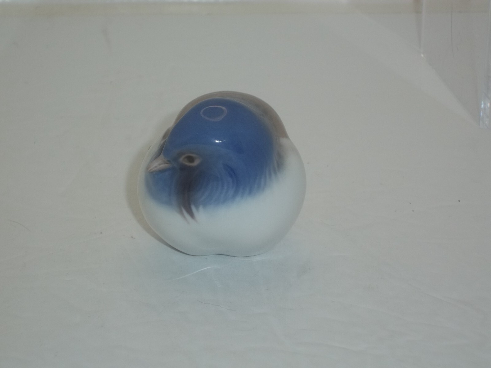 Picture 6 of 6