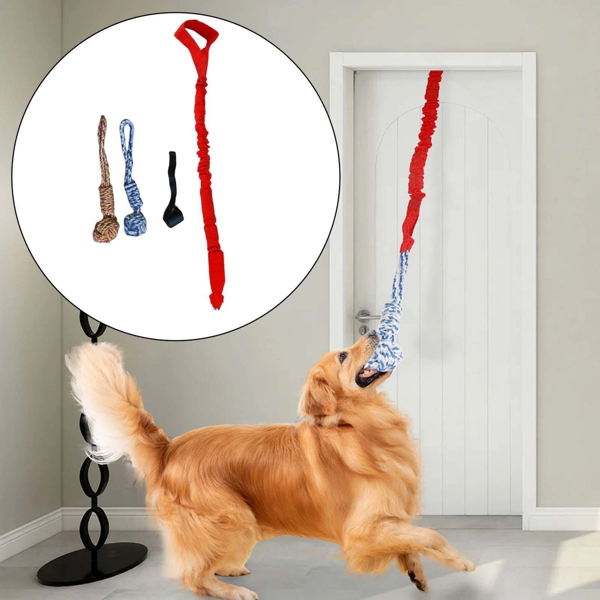 Tether tug on sale large dog