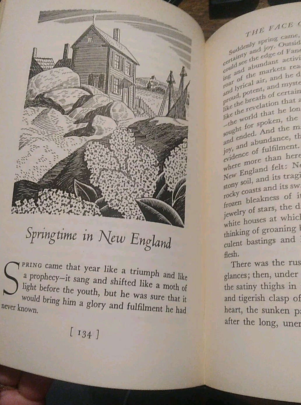 Picture 7 of 11