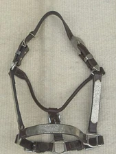 BILLY ROYAL WESTERN SHOW HALTER with SILVER@@