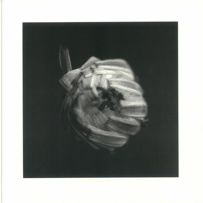 A SWARM OF THE SUN - An Empire - Vinyl (gatefold 2xLP)