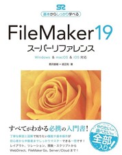 FileMaker 19 Super Reference Windows  macOS  iOS Compatible Le Book 