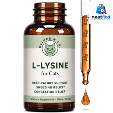 High Absorption L-Lysine for Cats - Fast-Acting Cold Relief - 200 mg per Serving