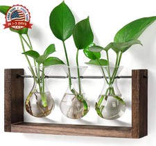 Wall Hanging Planter Propagation Station Glass Flower Vase for Hydroponics