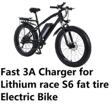   Fast 3A power supply Battery Charger For Lithium Race S6 fat tire electic bike