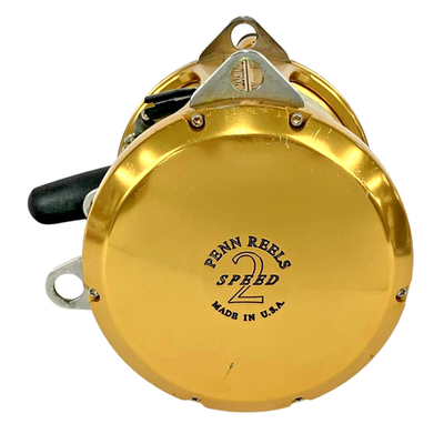 Penn International 80VSW 2 Speed Saltwater Fishing Reel for sale