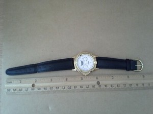 guess moon phase watch