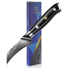 Japanese 3 Inch Fruit Paring Knife VG10 Damascus Steel Peeling Slicing Tools