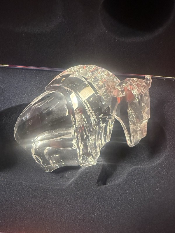 Swarovski Buffalo Mint In Original Box! #624598 Crystal Figurine $385 Retired