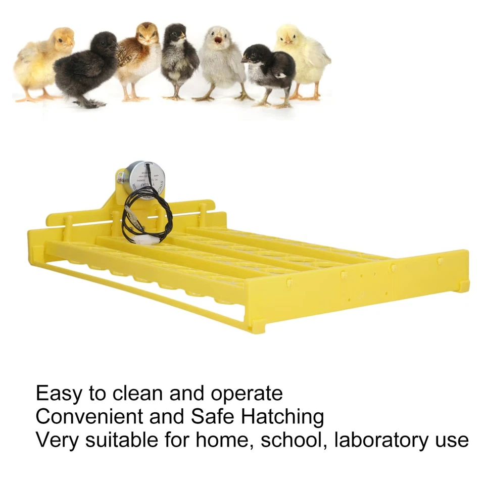 Turner automático de huevos, 32 huevos mini incubadora incubadora bandeja giratoria de huevos de plástico... Foto 2 de 4