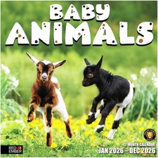 Baby Animals 2026 Wall Calendar 12 Month  12" x 24" Open  Thick  Sturdy Pa...