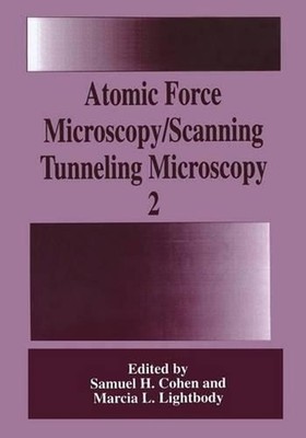Atomic Force Microscopy/Scanning Tunneling Microscopy 2 by Samuel H. Cohen (Engl