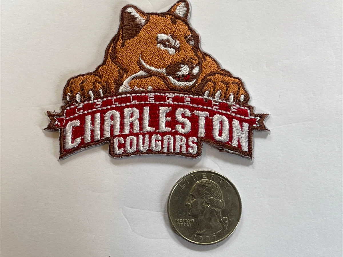 Tappetino Per Mouse College Of Charleston | 23,6x19,8 Cm | Superficie Tessile Morbida | Per Tutti I Tipi Di Mouse | Ufficiale