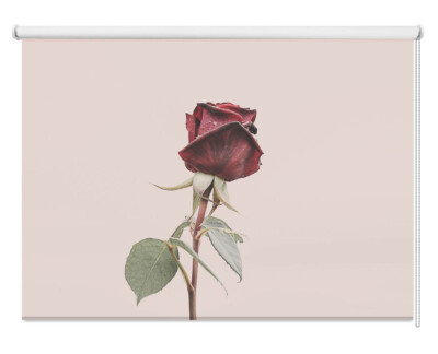 Rose Blumen Szene Blume Druck Bild nach Maß Fenster Rollos Verdunkelung