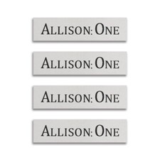 Emblema distintivo logo altoparlante Allison One inciso personalizzato 63 mm (2,48") X 16 mm (0,63")