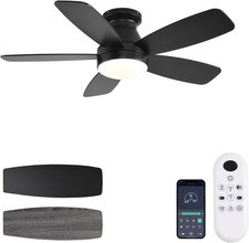 Ceiling Fans with Lights, 42 Inch Low Profile Ceiling Fan with Light and Remote/